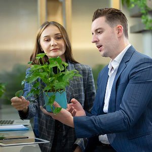 Small Business Package (SBP)